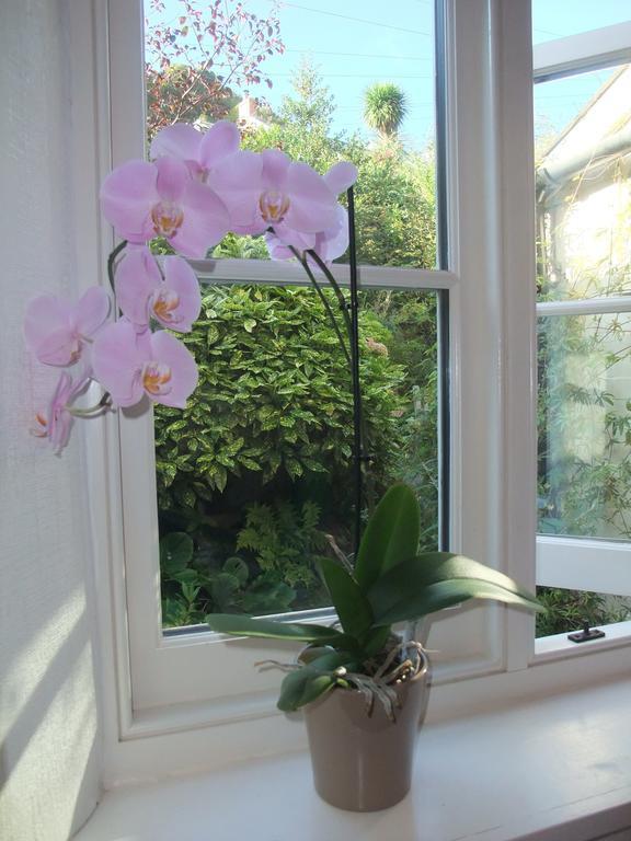 The Fernery B&B Lynton Værelse billede